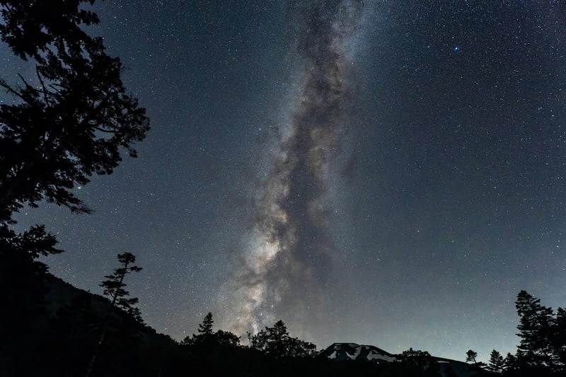 Woodland Night Sky